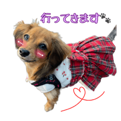 [LINEスタンプ] チワックスNoel