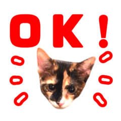 [LINEスタンプ] にゃるがくるが日記