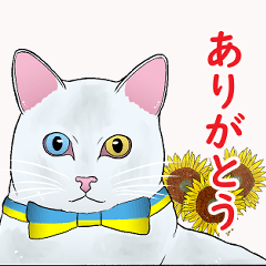 [LINEスタンプ] しろねことウクライナ