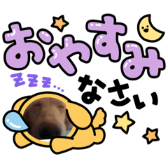 [LINEスタンプ] 犬のスタンプ第一