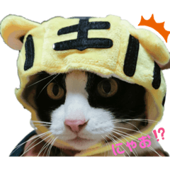 [LINEスタンプ] ミントだよ