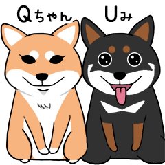 [LINEスタンプ] 瑩の柴犬ベビー - Qちゃん ＆ Uみ