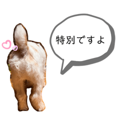 [LINEスタンプ] まろンプ2