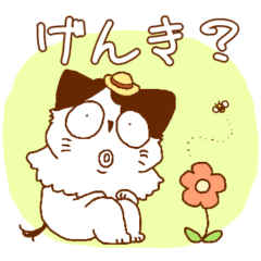 [LINEスタンプ] まったり♪︎ねこのふぅたん～あいさつ編～