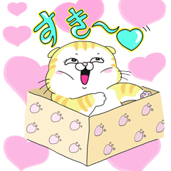 [LINEスタンプ] 怠惰なジョンコ猫の日