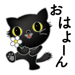 [LINEスタンプ] 黒猫の挨拶スタンプ