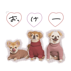 [LINEスタンプ] ♡。様