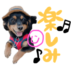 [LINEスタンプ] るぅと申します2