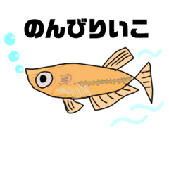 [LINEスタンプ] メダカくん ほんわか めだか