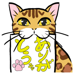 [LINEスタンプ] 【動く猫】日常系～ユニークな返し