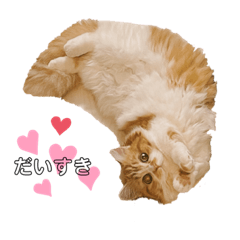 [LINEスタンプ] マンチカンのくるみたん