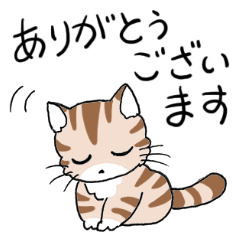 [LINEスタンプ] しげこネコ