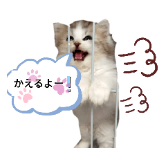 [LINEスタンプ] @レオン