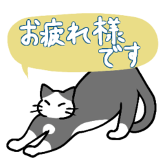 [LINEスタンプ] 敬語とネコのスタンプ