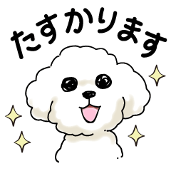 [LINEスタンプ] 白ぷーあいさつスタンプ