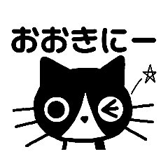 [LINEスタンプ] ハチワレ猫はっちゃんの大阪弁の画像（メイン）