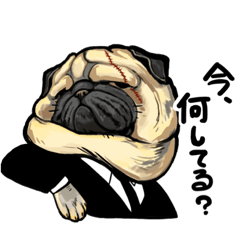 [LINEスタンプ] BOSS パグとエージェントT