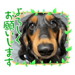 [LINEスタンプ] みるまろひめこた