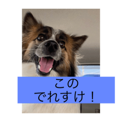 [LINEスタンプ] すみか 茨城弁 2