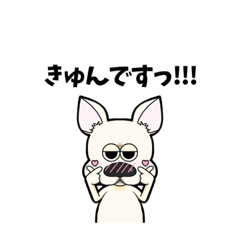 [LINEスタンプ] ガトーくん(関西弁ver.)