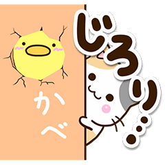 [LINEスタンプ] お茶目な三毛猫×まるピヨの画像（メイン）