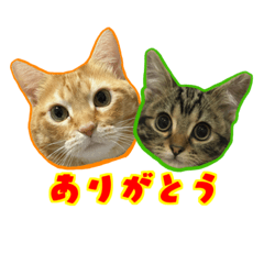 [LINEスタンプ] ナツメとオリーブスタンプ