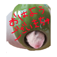 [LINEスタンプ] めるちゃーん