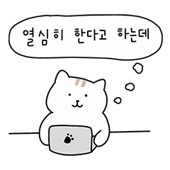 [LINEスタンプ] にゃんにゃん猫猫猫