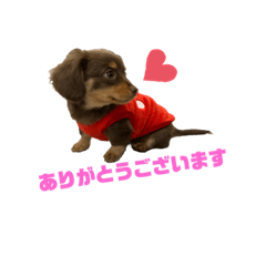 [LINEスタンプ] メンタルケアマネージャー福太郎