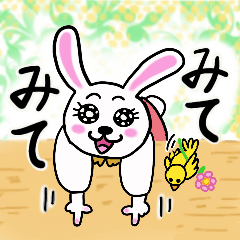 [LINEスタンプ] カラフル かわいい どうぶつたち②