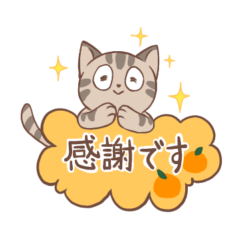 [LINEスタンプ] 【敬語】かわいいねこのていねいことば