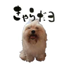 [LINEスタンプ] きゃらめるだよー