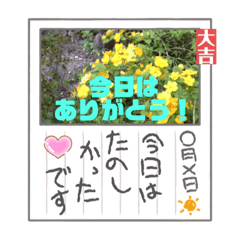 [LINEスタンプ] 楽しかった日の後に送るメッセージです。