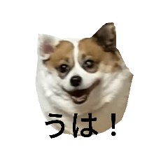 [LINEスタンプ] マミんぬ