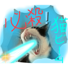 [LINEスタンプ] ドジ猫ベル。第二弾