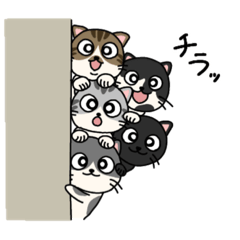 [LINEスタンプ] うちのネコちゃんズ！