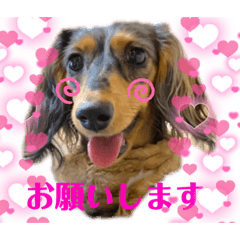 [LINEスタンプ] nene's スタンプ