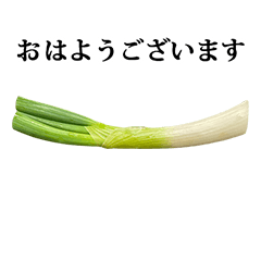 [LINEスタンプ] ねぎ と 敬語