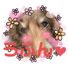 [LINEスタンプ] ちゅりんぼ語