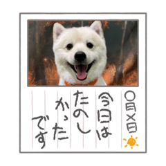 [LINEスタンプ] えるあくん