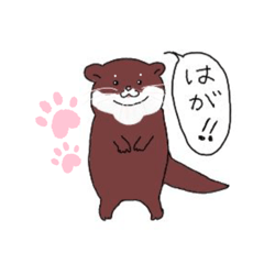 [LINEスタンプ] 可哀想なカワウソはがちゃんver.1