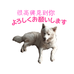 [LINEスタンプ] 挨拶スタンプ35