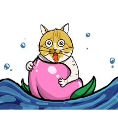 [LINEスタンプ] 猫の桃ちゃん