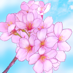 [LINEスタンプ] 大人女子のピンク満開❤️桜 春の挨拶の画像（メイン）