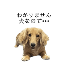 [LINEスタンプ] うなんぷ。