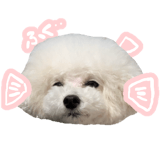 [LINEスタンプ] ぷくちゃん博士