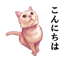 [LINEスタンプ] なむなむねこのエリンさん(敬語)