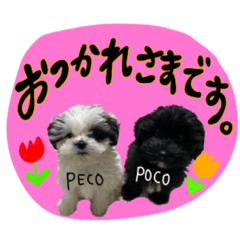 [LINEスタンプ] PECOPOCO♡