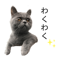 [LINEスタンプ] 八郎くんスタンプ
