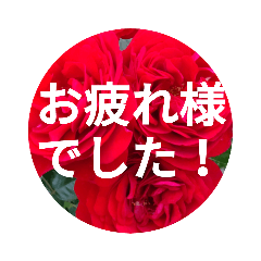 [LINEスタンプ] ロザリアンライフ 挨拶・敬語№1